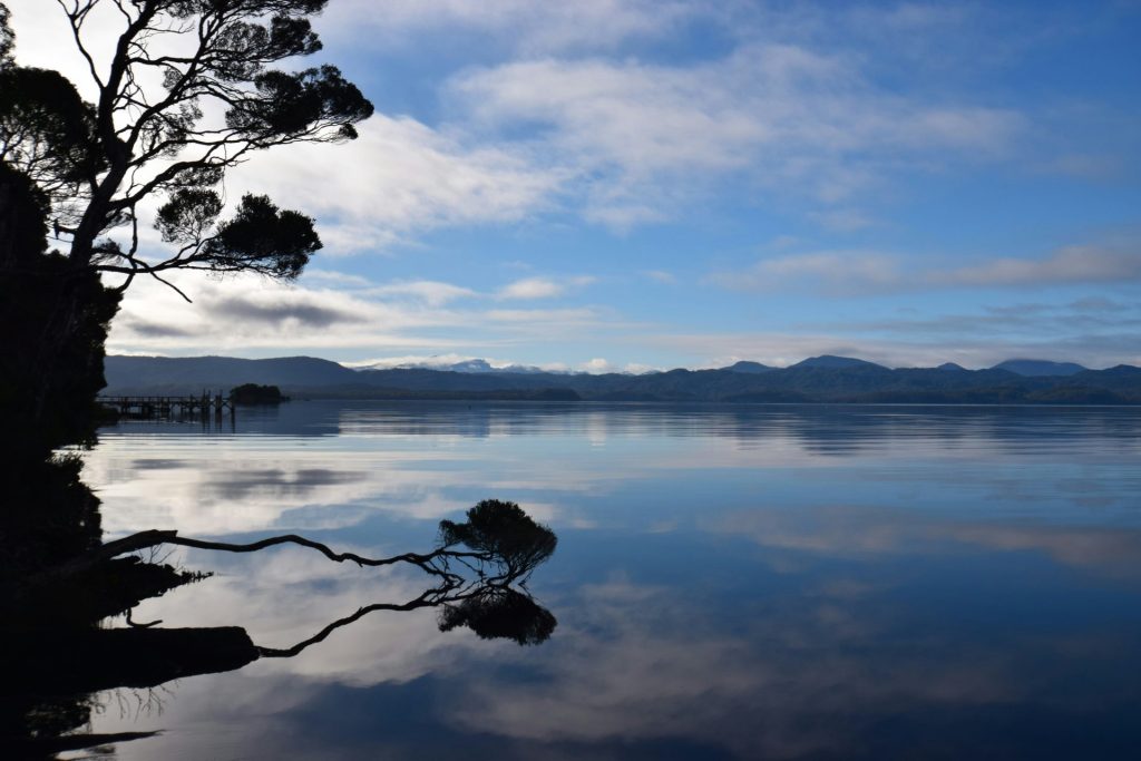 un lago con un árbol en primer plano y montañas al fondo